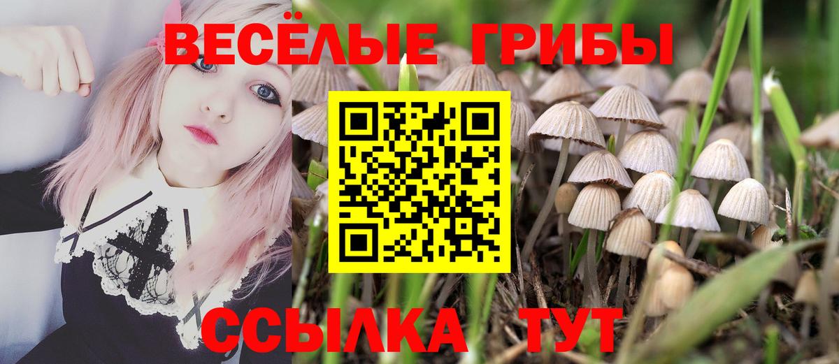 Тихорецк  Псилоцибиновые грибы MAGIC MUSHROOMS  Псилоцибиновые грибы прущие грибы  Вход с VPN 